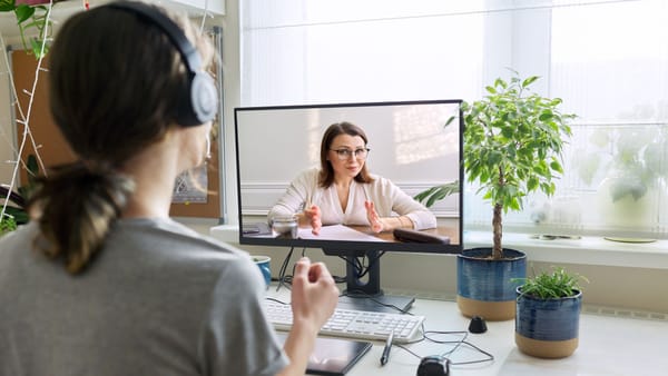 Your First Wellness Hire: When to Outsource (VA) vs. When to Bring In-House